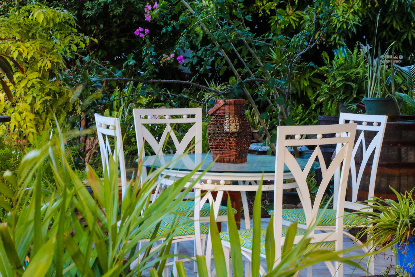 Rose St Gardens - Room 1