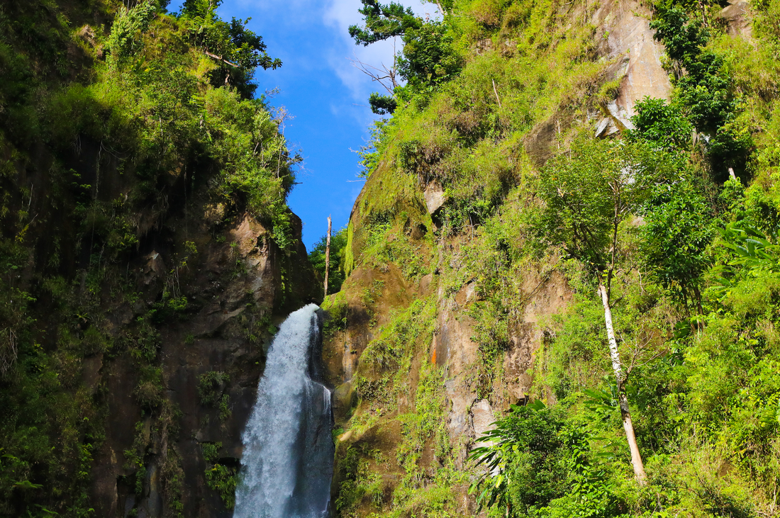 5 Things to Do in Dominica in 2026
