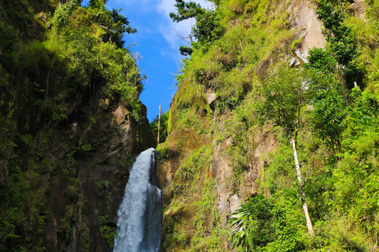 5 Things to Do in Dominica in 2026