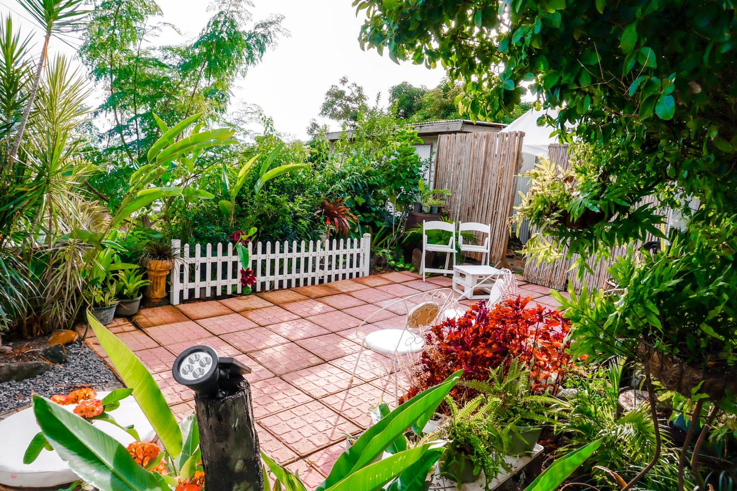 Rose St Gardens - Room 1